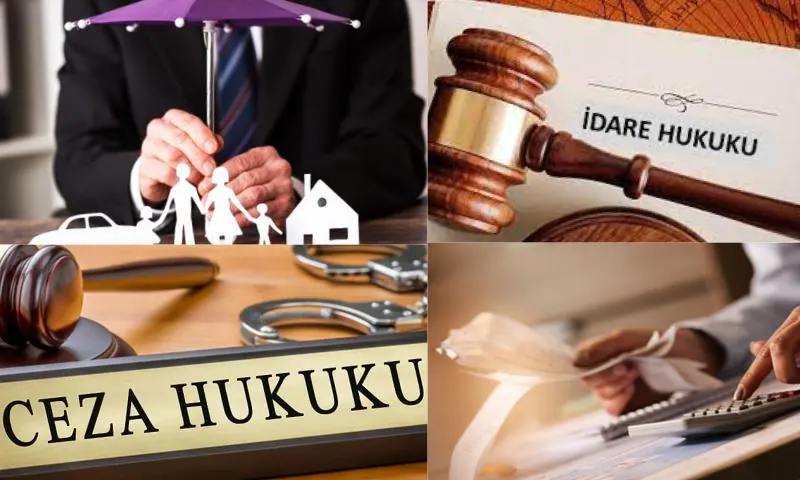 Vergi Ceza Hukuku Hangi Konuları Kapsar?