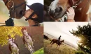 At Biniciliği: Doğayla İç İçe Bir Aktivite Deneyimi