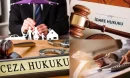 Vergi Ceza Hukuku Hangi Konuları Kapsar?