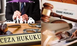 Vergi Ceza Hukuku Hangi Konuları Kapsar?