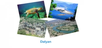 Caretta Caretta’larla Tatil, Dalyan