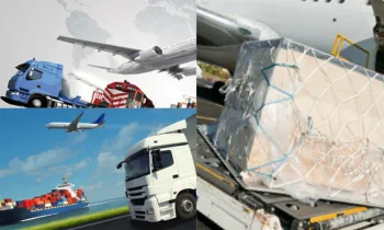 Dubai Nakliye Süreçlerinde Ticari Başarının Anahtarı