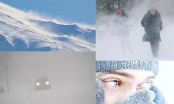Tipi Nedir ve Nasıl Oluşur?