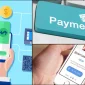 Paynet Ödeme Hizmetleri Nelerdir