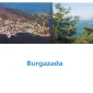 Tatilciler Burgazada’da Buluşuyor