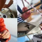 Gemi Kaptanlığının Önemi ve Sorumlulukları