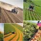 İthalata Bağımlılık Nasıl Azaltılır?