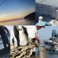 Balık Avı İçin Yem Hazırlanışı ve Canlı Yemler
