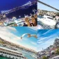 Private İstanbul Tour Hizmetleri Hangi Dil Seçeneklerini Sunar?