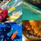 Things To İn Antalya Nerelerdir?